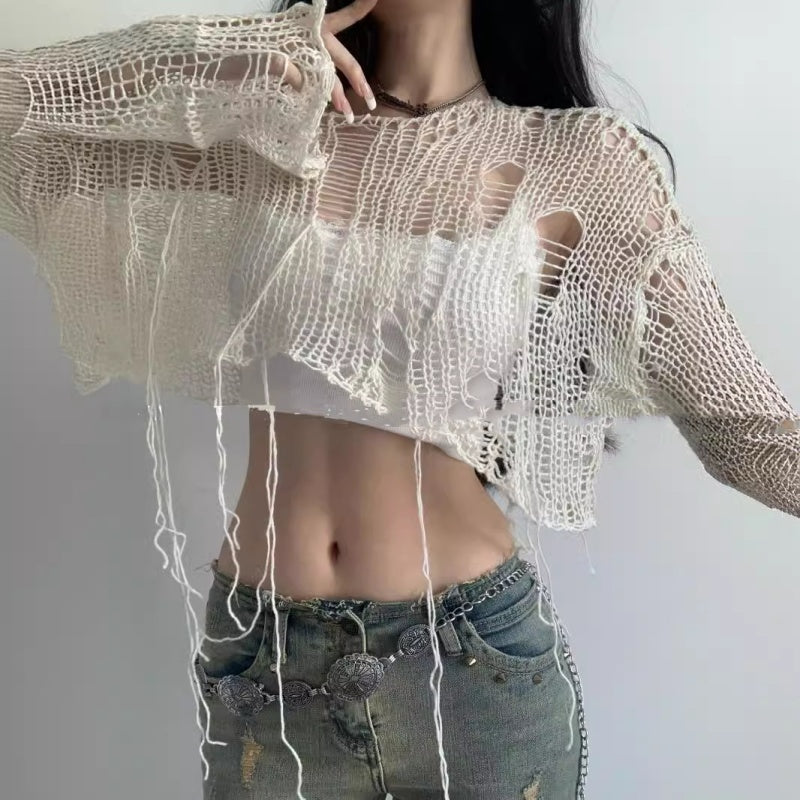 Street Style Hollow Out See-through Knitwear For Women