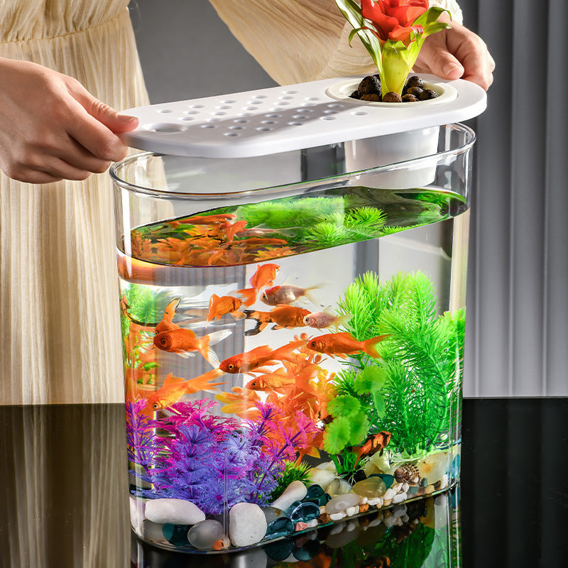 Acrylic Transparent Ecological Incubator Goldfish Tank