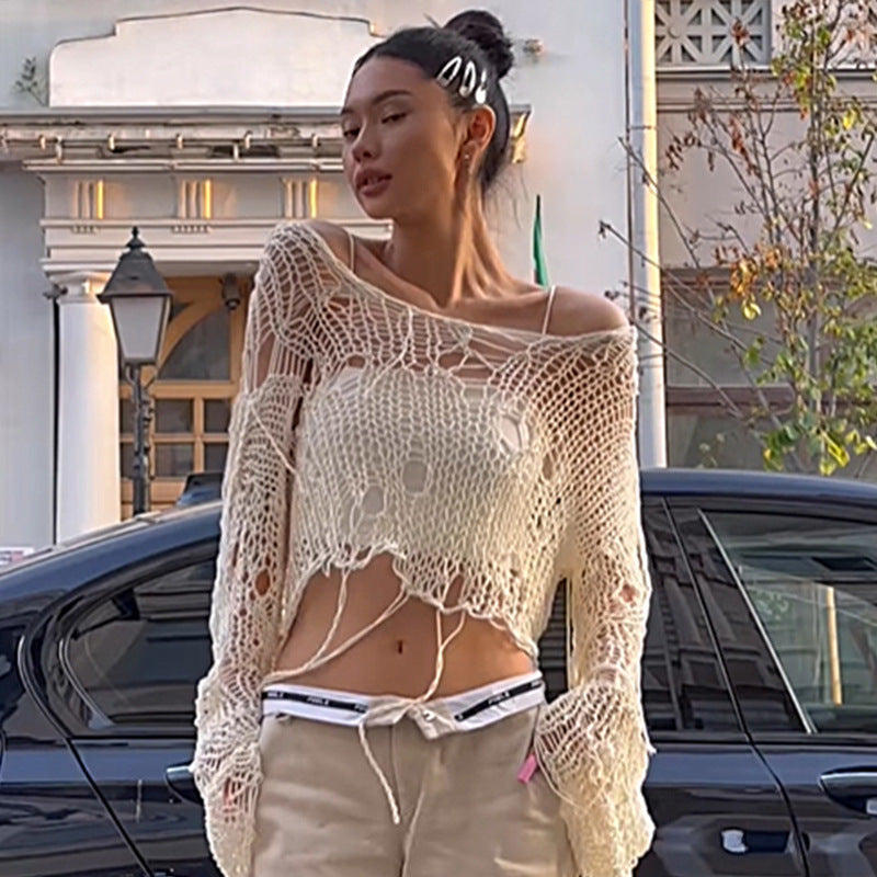 Street Style Hollow Out See-through Knitwear For Women