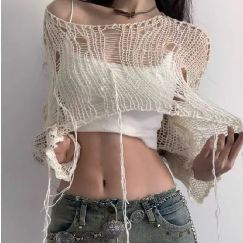 Street Style Hollow Out See-through Knitwear For Women