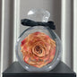 Eternal Flower Ornaments Transparent Cover Dried Rose Gift Box For Christmas New Year Valentine's Day Home Decor