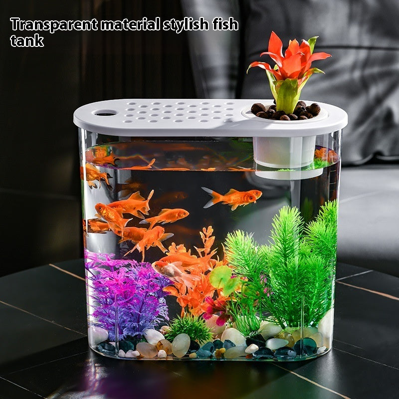 Acrylic Transparent Ecological Incubator Goldfish Tank